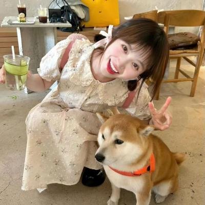 老虎的学徒